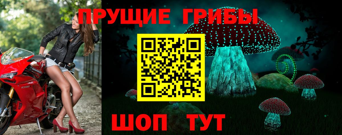 Галлюциногенные грибы прущие грибы Отрадное