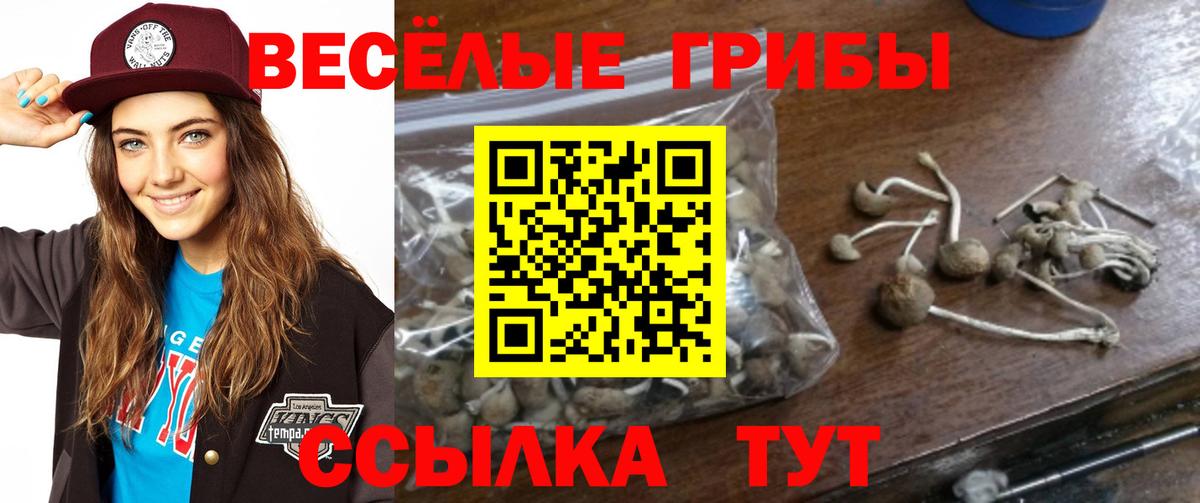 Псилоцибиновые грибы Magic Shrooms  Вход с VPN  Отрадное 